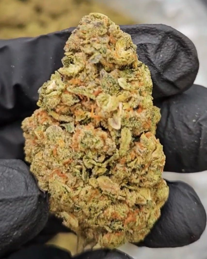 Jealousy 3.5g (30% THC)