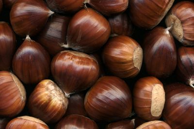 Gamma dei marroni