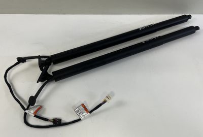 81841M5100 81831M5100 Bootlid / tailgate strut set HYUNDAI NEXO (FE) (2018-)