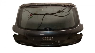 Багажник / задна врата AUDI Q7 (4L) (2006-2015)