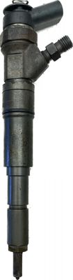 Fuel Injector BMW X5 (E53) (2000-2007)