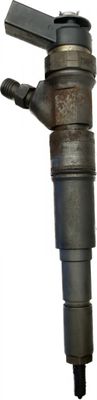 Fuel Injector BMW X5 (E53) (2000-2007)