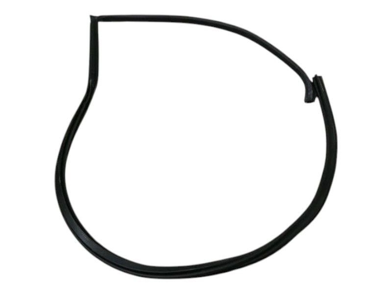 FERRARI PUROSANGUE F175 Door Seal 880280 RH FRONT DOOR