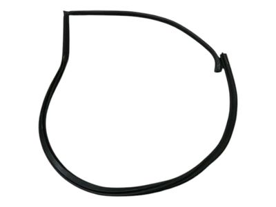 FERRARI PUROSANGUE F175 Door Seal 880280 RH FRONT DOOR