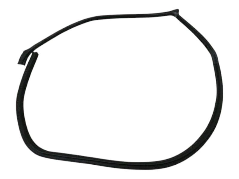 FERRARI PUROSANGUE F175 Door Seal 880282 FRONT LEFT