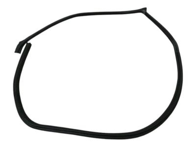 FERRARI PUROSANGUE F175 Door Seal 880282 FRONT LEFT