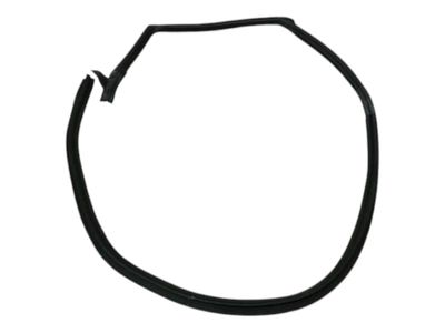 FERRARI PUROSANGUE F175 Door Seal 880254 RH REAR DOOR