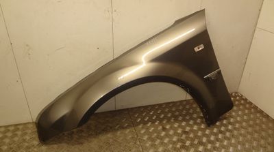 Fender Front Left CHRYSLER 300C I (2004-2010)