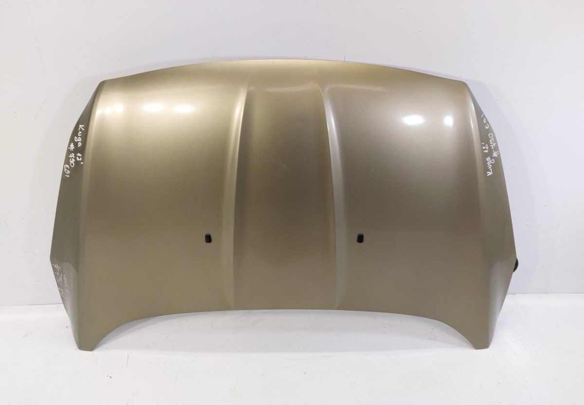 CJ54-S16612-AJ CJ54S16612AJ Bonnet FORD KUGA II (DM2, TF) (2012-2019)