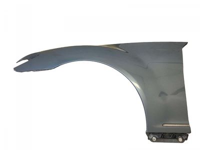 A2168800118 Fender Front Left MERCEDES-BENZ S-CLASS Coupe (C216) (2006-2013)