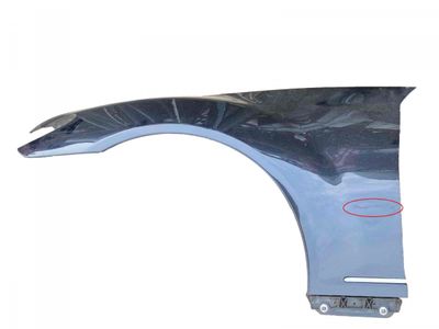 A2168800118 Fender Front Left MERCEDES-BENZ S-CLASS Coupe (C216) (2006-2013)