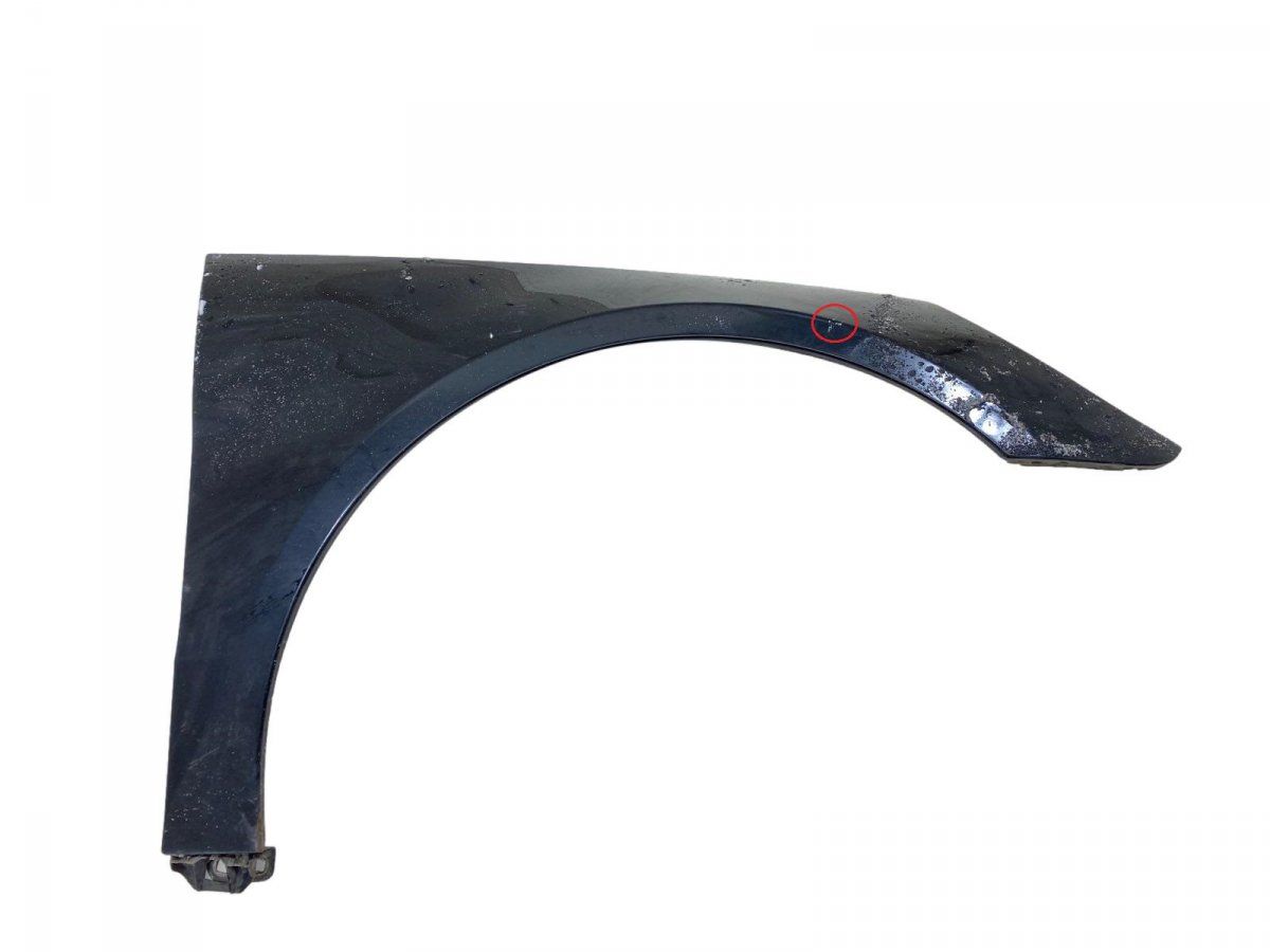 A2518800206 Fender Front Right MERCEDES-BENZ R-CLASS (W251) (2006-2013)