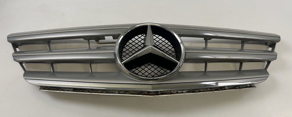 A1698881660 Radiator Grille MERCEDES-BENZ B-CLASS (W245) (2005-2011)