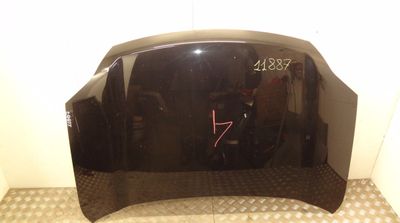 F5100JG0MM Bonnet NISSAN X-TRAIL II (T31) (2007-2013)