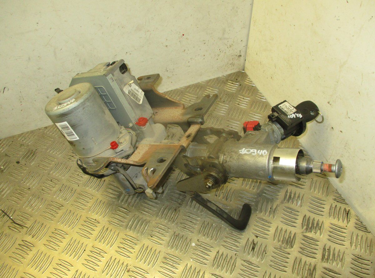 Power steering pump RENAULT KANGOO II (FW, KW) (2008-2021)