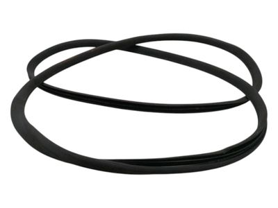 MAYBACH 62 V240 Left Door Seal A2407200178