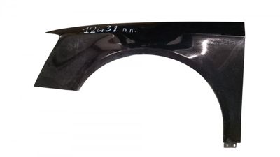 Fender Front Left VW PASSAT B6 (3C) (2005-2010)