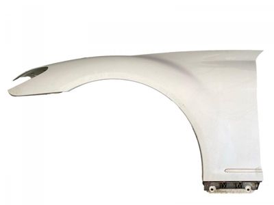 A2168800118 Fender Front Left MERCEDES-BENZ S-CLASS Coupe (C216) (2006-2013)