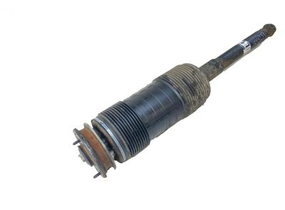 A2213204713 Shock Absorber Rear Left MERCEDES-BENZ S-CLASS Coupe (C216) (2006-2013)