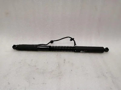 Tesla Model X Rear Falcon Door Strut 1063440-01-D Rear Door Lift Gas Strut
