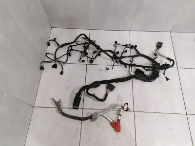 RANGE ROVER L405 Окабеляване на двигателя FPLA-9H589-AG Кабел на двигателя TDV6 306DT