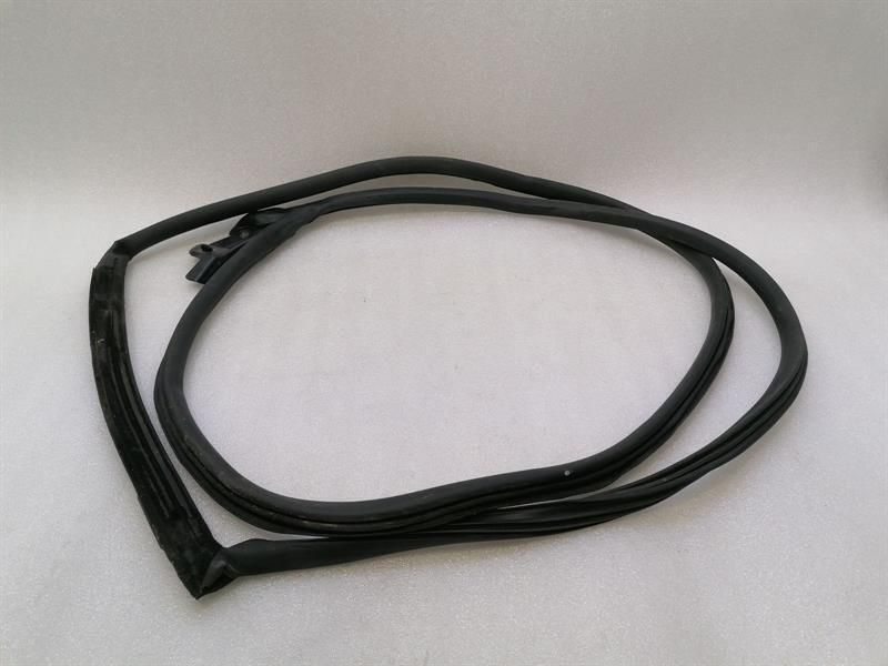 Aston Martin Vantage V8 Door Seal 6G33-C20709-AH LEFT LEFT Door Seals