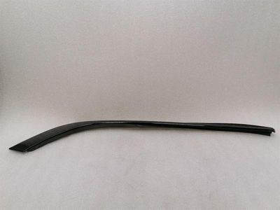 Aston Martin Rapid AMR RLH Door Moulding AD43-F20569-A Strip Rear Left Door