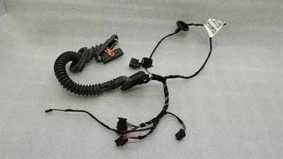 Porsche Cayenne 958 92A RLH Door Wiring 7P5971694AD Door Wiring Harness Rear Left