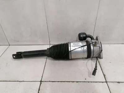Bentley Continental GT W12 shock absorber rear 3W8616001 shock absorber rear
