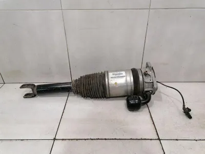 Bentley Continental GT W12 shock absorber rear 3W8616002 shock absorber rear