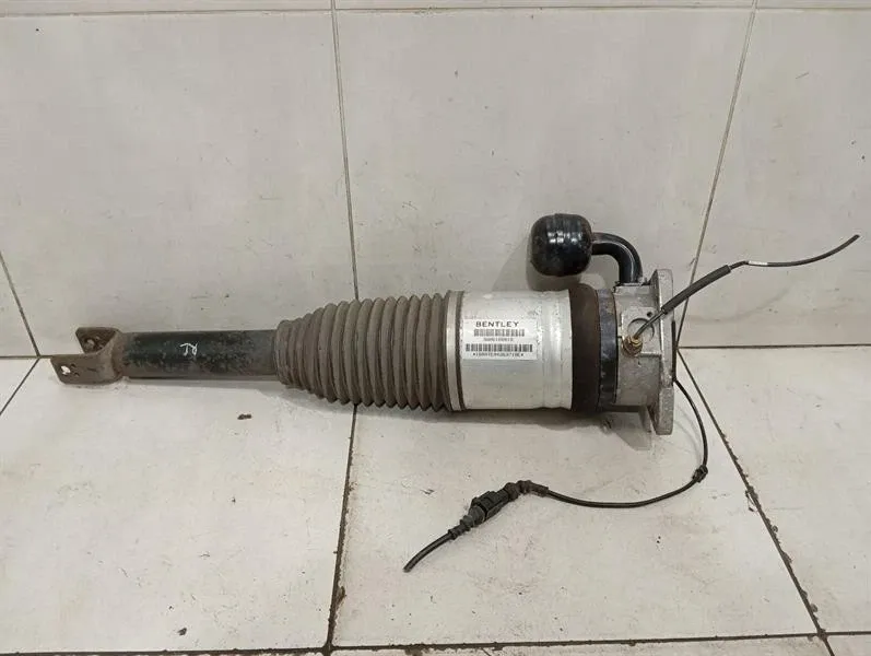 Bentley Continental GT W12 shock absorber rear 3W0616001B shock absorber rear