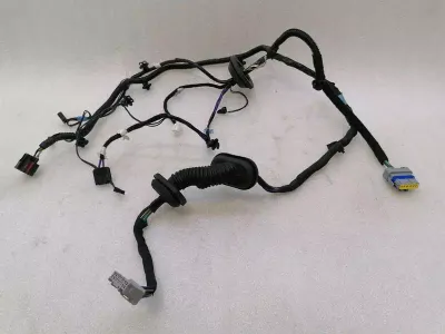 Tesla Model S 70 Rear Left Door Wiring 1004425-00P Rear Left Door Harness