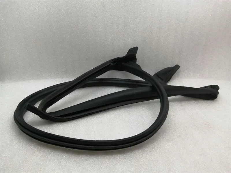 Tesla Model 3 Rear Right Door Seal 1090510-00-N Rear Right Door Seals