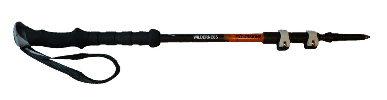 ULTRALIGHT CARBON FIBER HIKING POLES