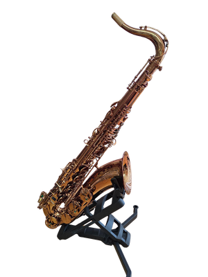 Oleg Maestro Tenor Saxophone