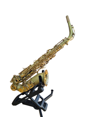 Oleg Maestro Alto Saxophone