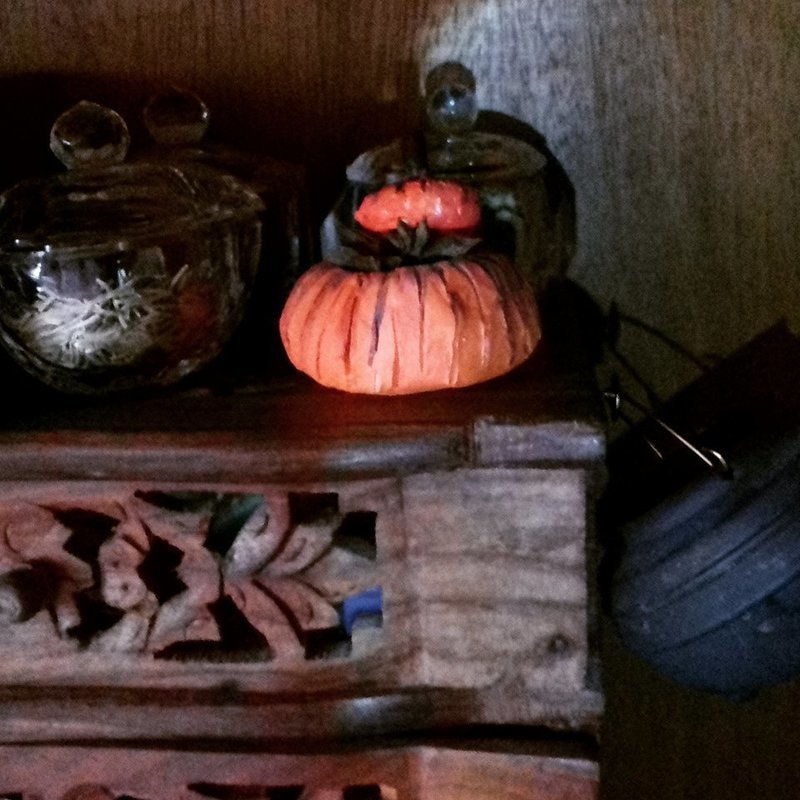 Abóbora Porta Ervas