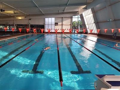 Lap Swimming Training