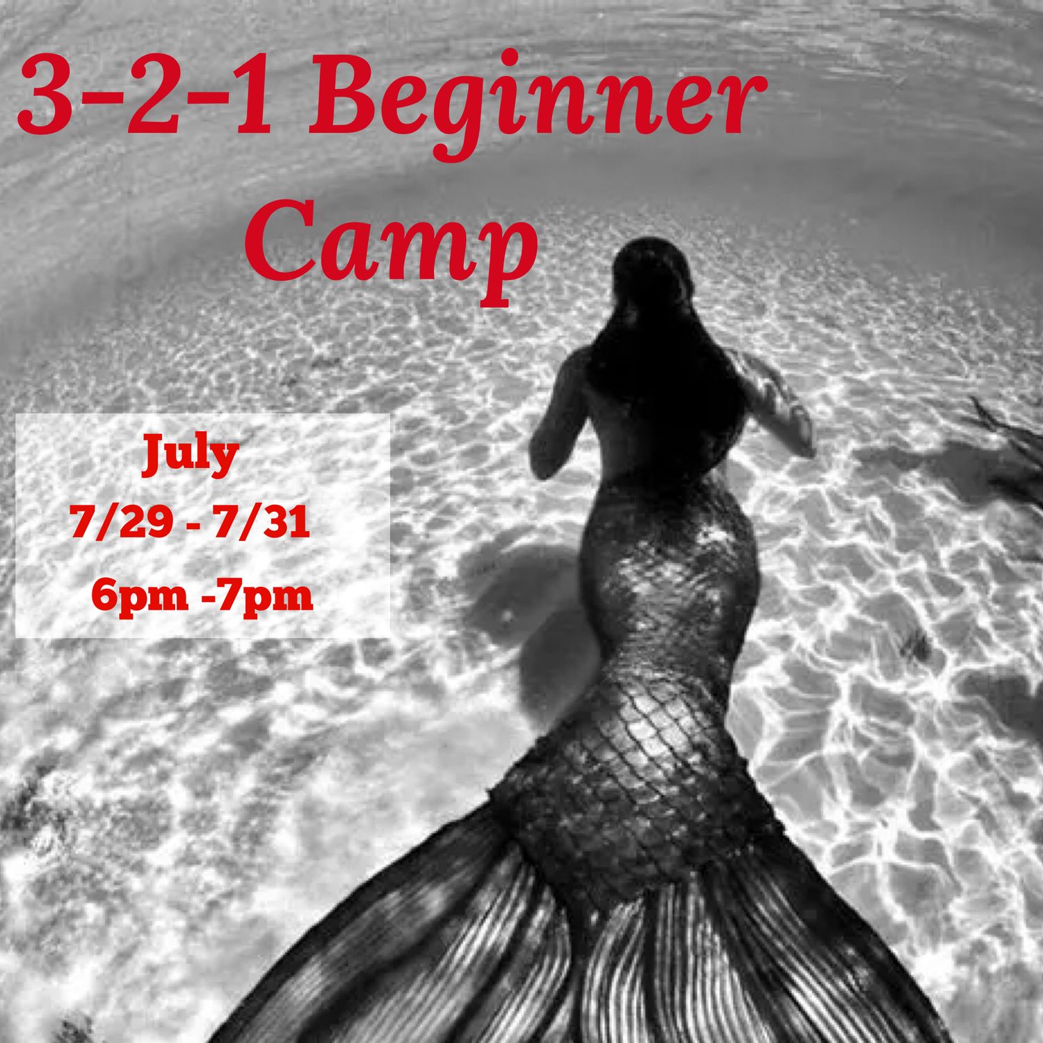 3-2-1 Beginner Swim Camp