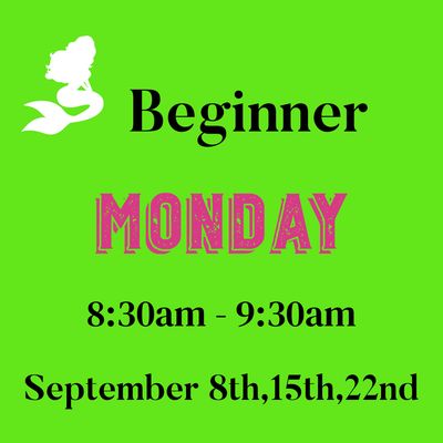 Beginner / Monday / September 8,15,22 8:30am - 9:30am (3weeks)