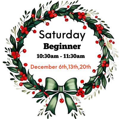 Beginner / Saturday/ December 10:30am -11:30am 6,13,20 (3weeks)