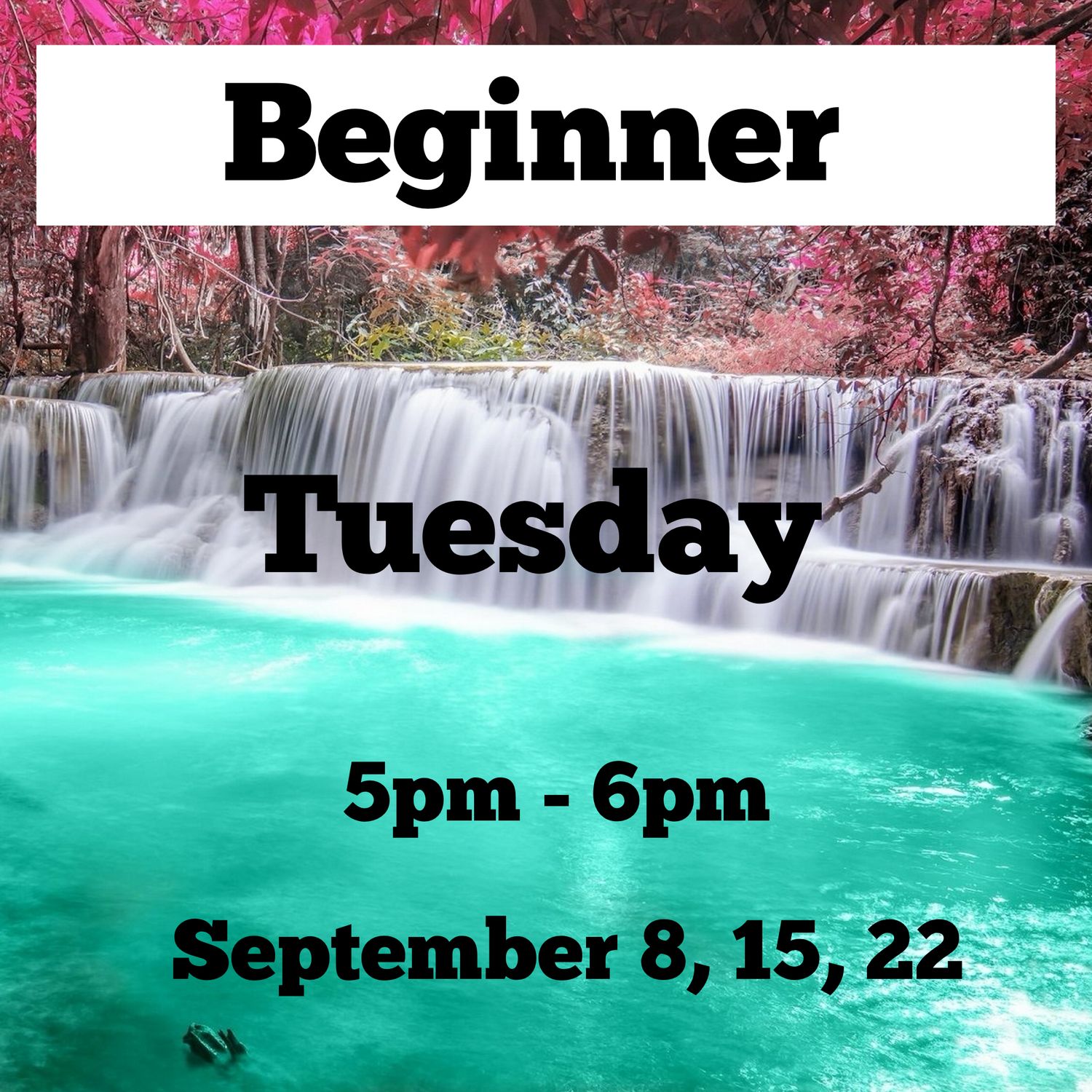 Beginner / Tuesday / September 8,15,22 / 5pm - 6pm
