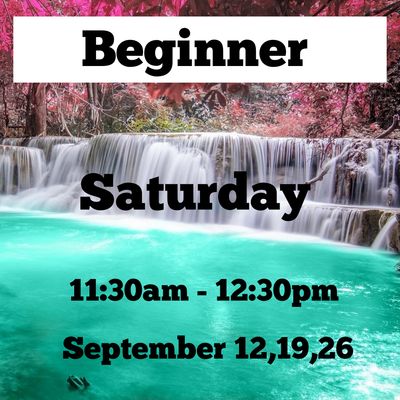 Beginner / Saturday/ September 12,29,26 / 11:30am - 12:30pm
