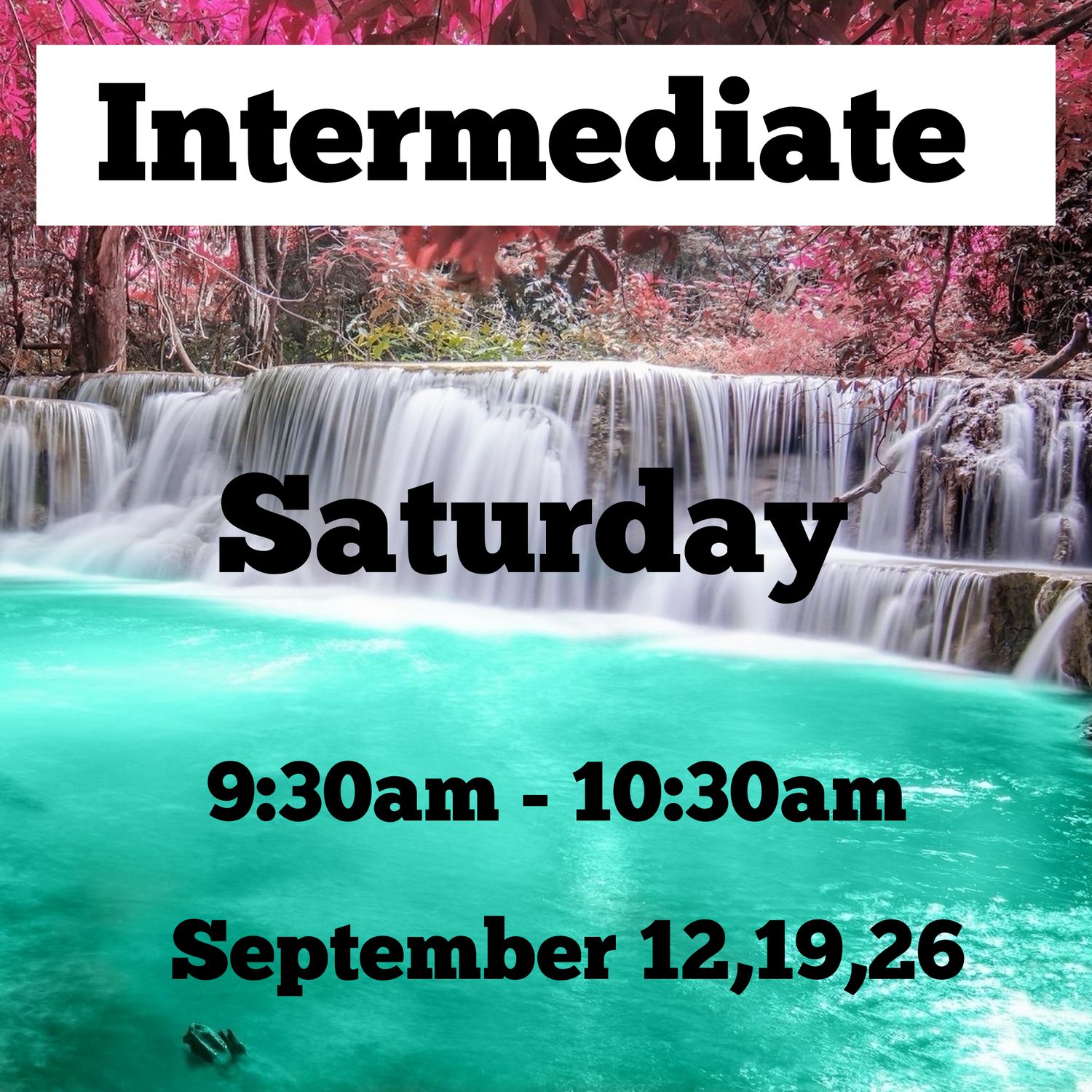 Intermediate/ Saturday/ September 12,19, 26 / 9:30am - 10:30am