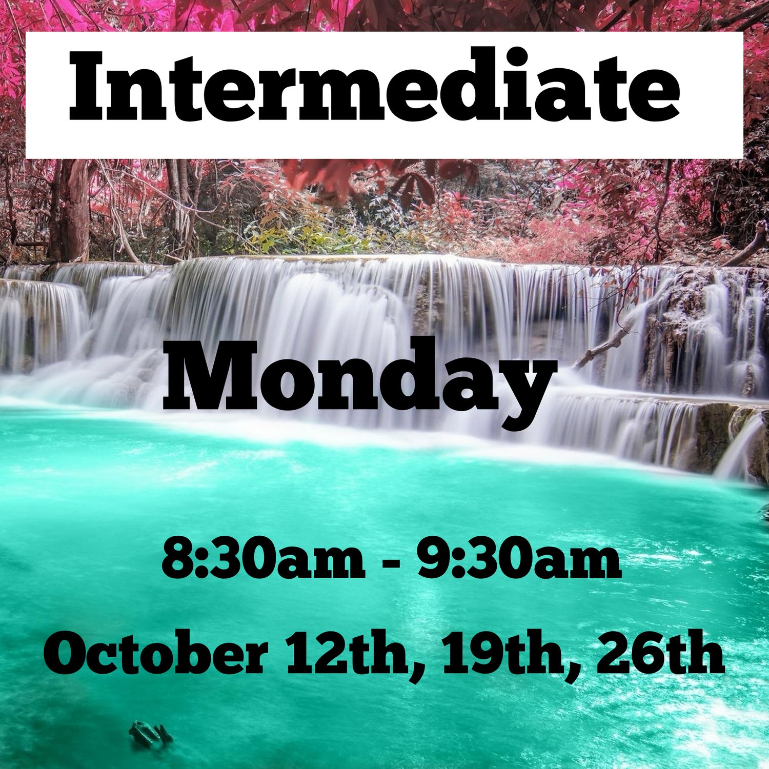 Intermediate/ Monday/ October 12,19,26/ 8:30am - 9:30am