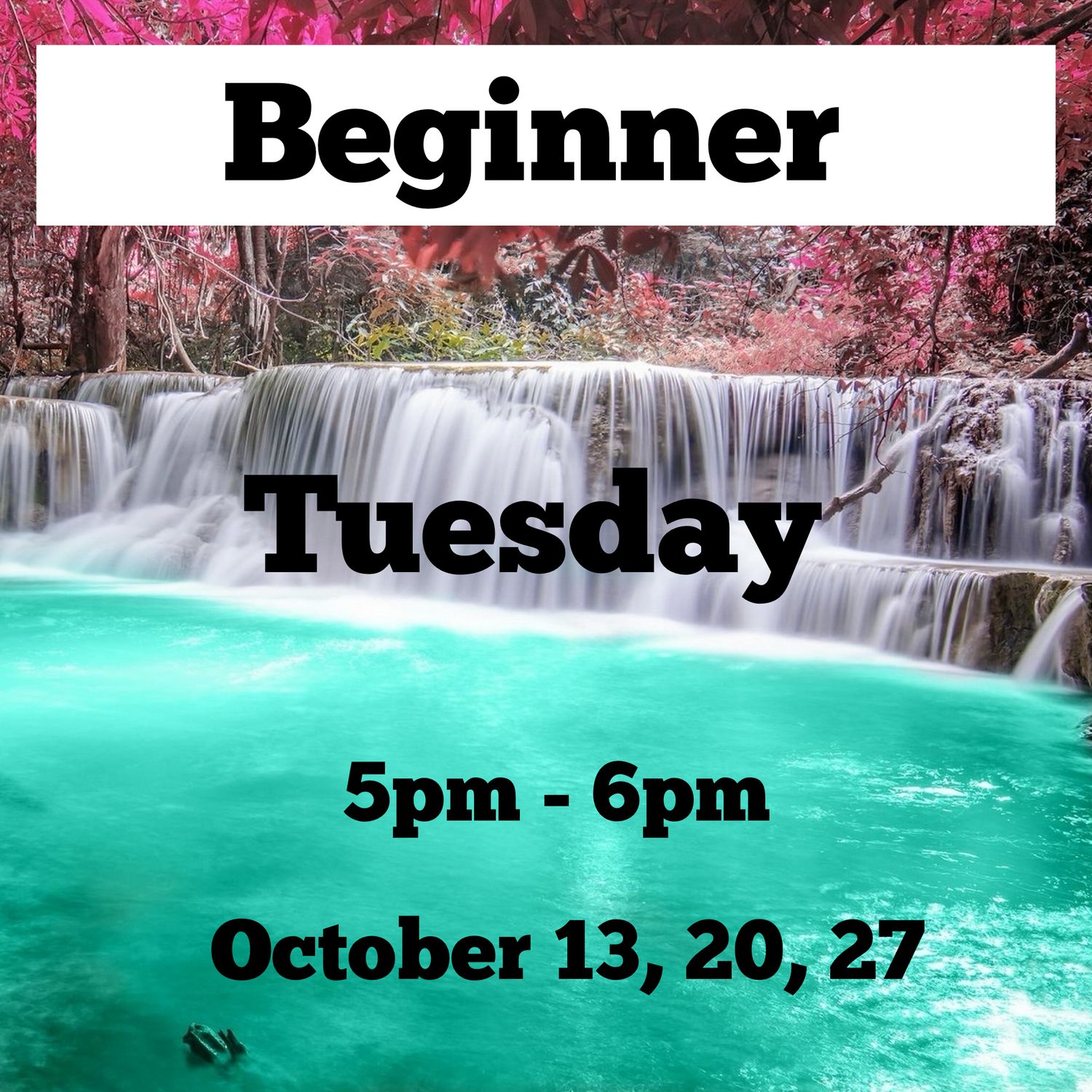 Beginner / Tuesday / October 13th,20th,27th / 5pm - 6pm