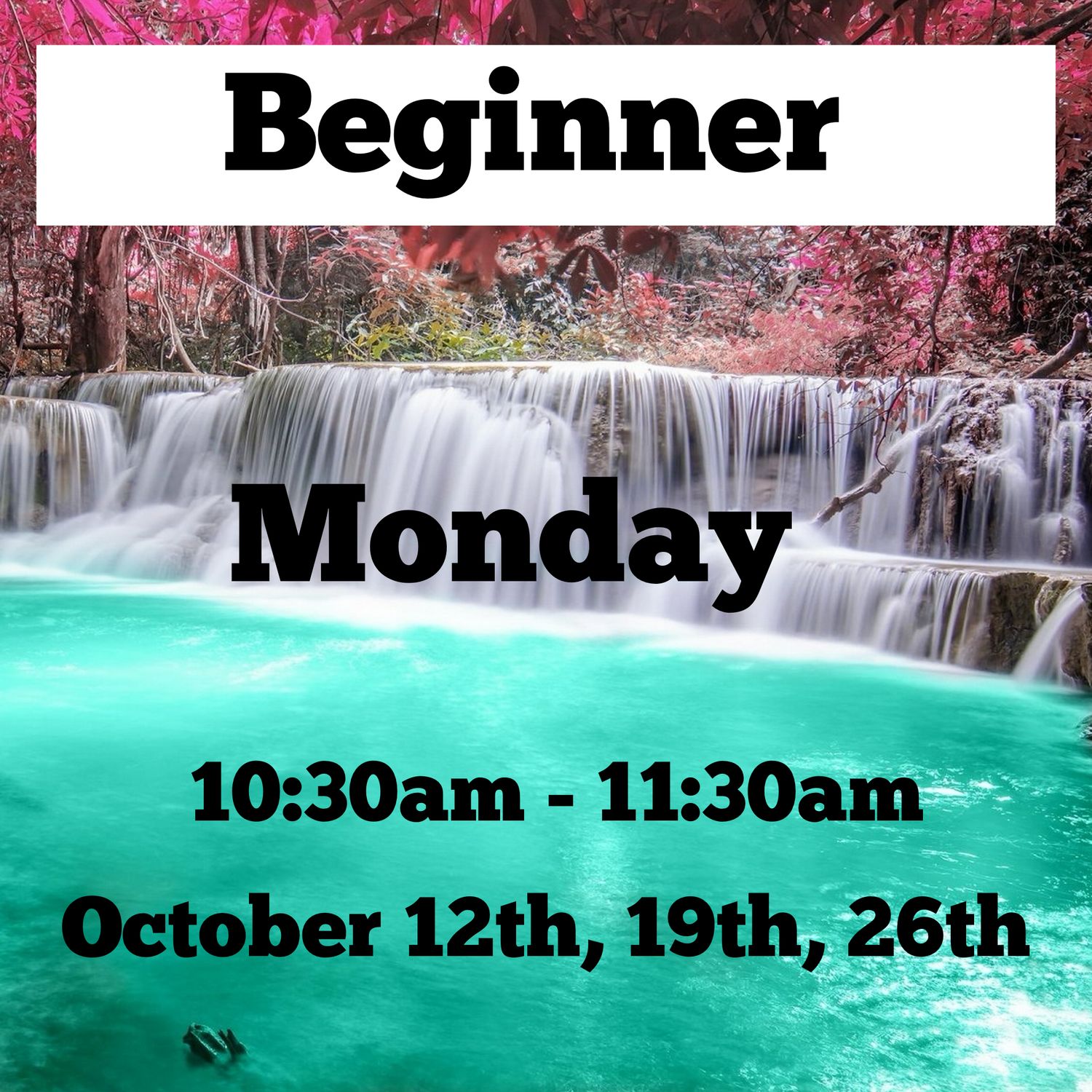 Beginner/ Monday / October 12th,19,26th / 10:30 -11:30am