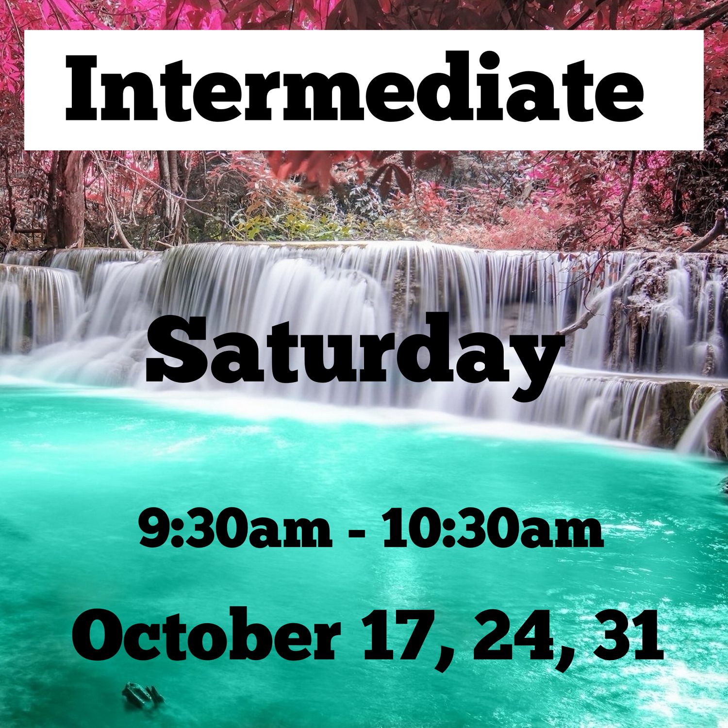 Intermediate/ Saturday/ October 17,24,31 / 9:30am - 10:30am