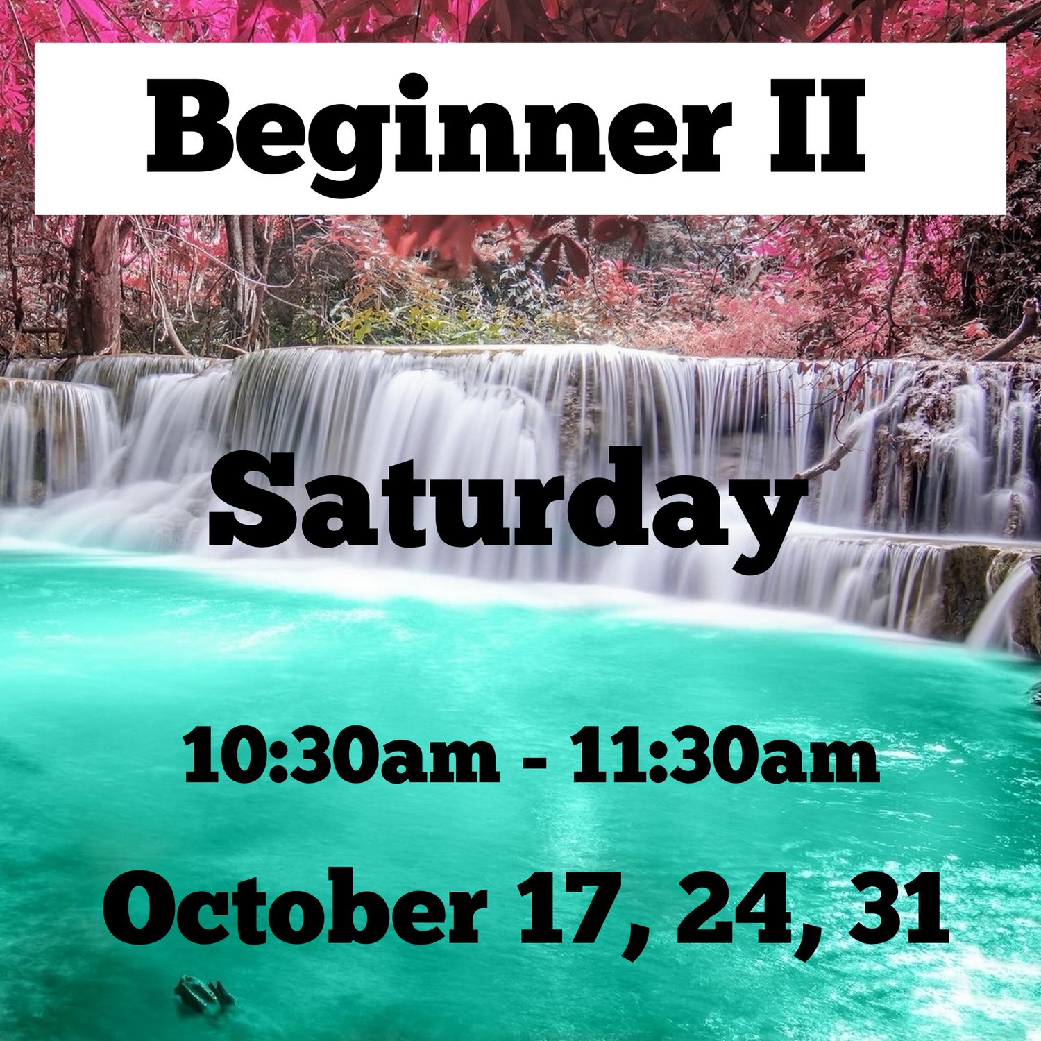 Beginner II / Saturday/ October 17,24,31 / 10:30am - 11:30am
