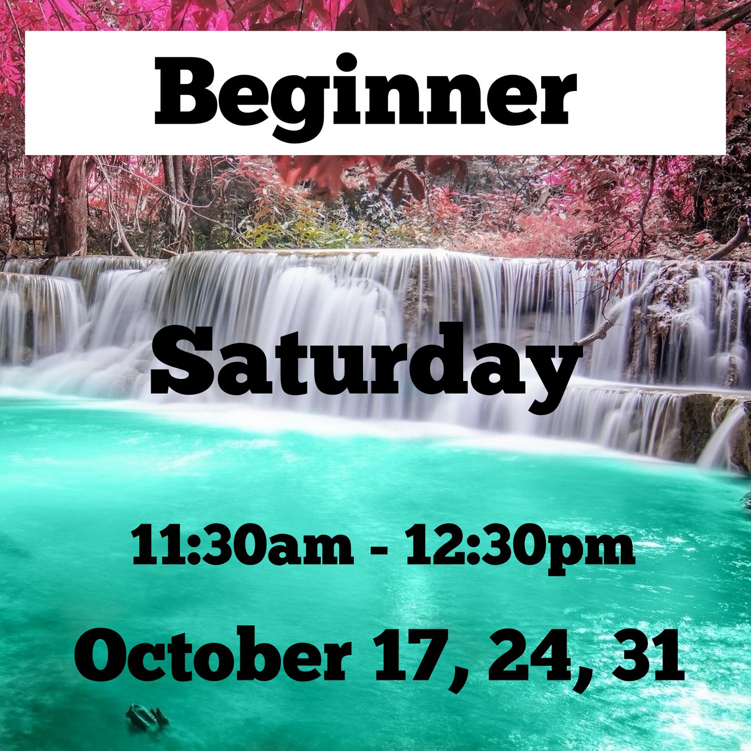 Beginner / Saturday/ October 17,24,31 / 11:30am - 12:30pm